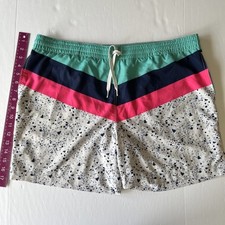 Chubbies Swim Trunks Men's XXL Striped Splatter Print 5.5" Inseam Mesh Lined 2XL