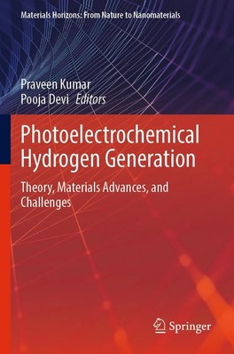 Photoelectrochemical Hydrogen Generation Praveen Kumar (u. a.) Taschenbuch x
