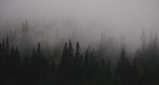 Landscape dark gloomy mist trees nature low Custom Gaming Mat Desk