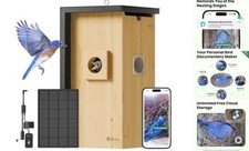 Bird House with Camera Solar Powered with Iron Guard for Outside, AI