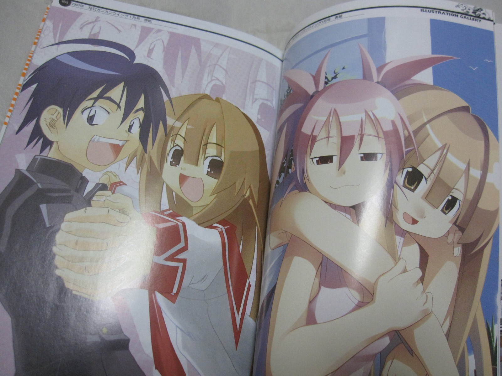 USED Seto no Hanayome Official Guide Book Sakura Japanese Manga Kimura Tahiko