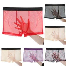 Sexy Mens Sheer See Through Boxer Briefs Underwear Mesh Shorts Trunks Underpants