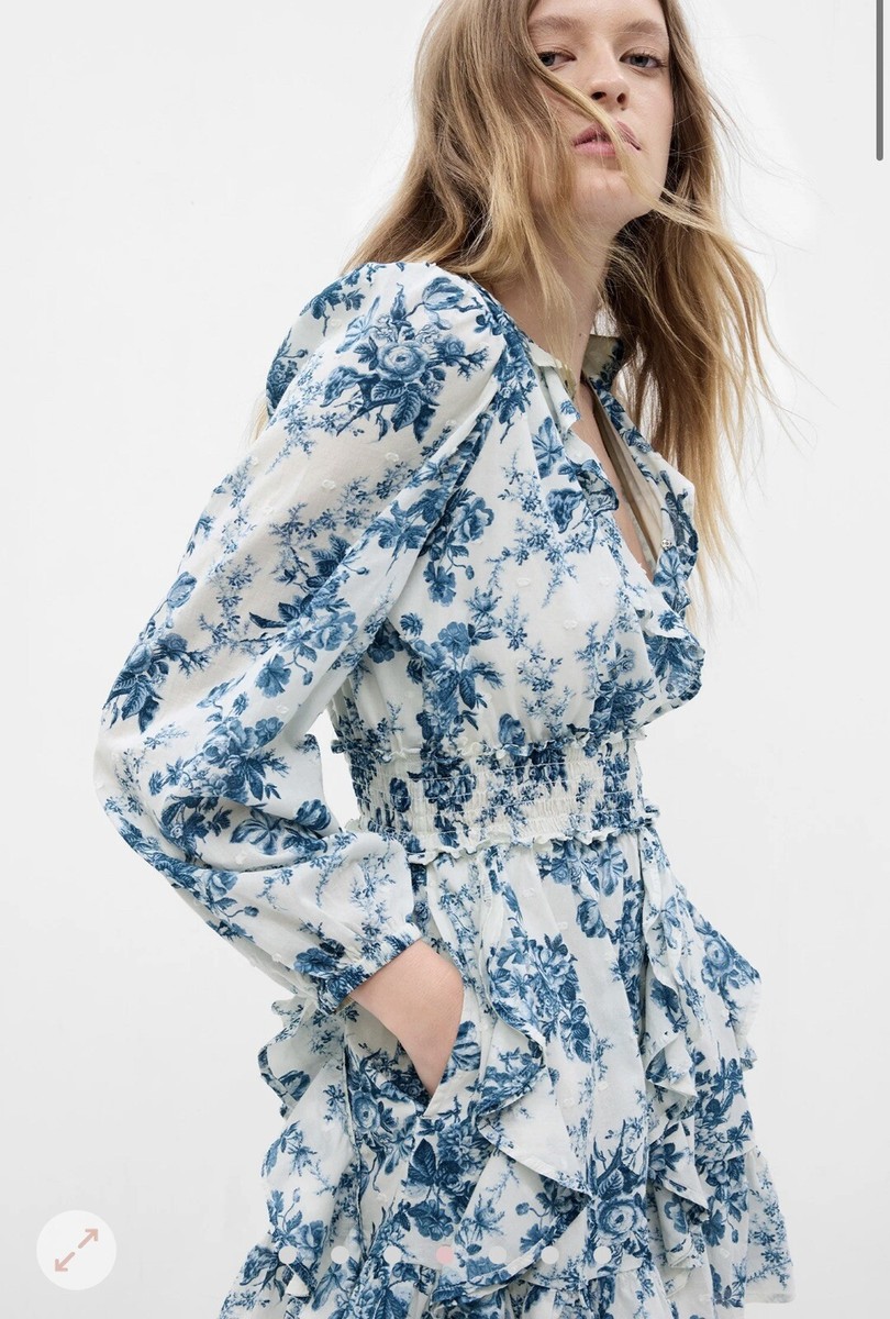 knee length dresses for ladies LoveShackFancy Spruce Dress- Blue Stars