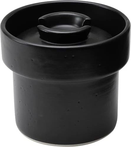 IWANO Ureshidaki Hybrid, Made in Japan, Microwave Rice Cooker, Earthenware