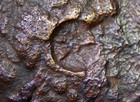 LYCAONIA ICONIUM AE15 Zeus & Perseus Medusa Ancient Greek Bronze Coin 4.21g Rare — photo 3