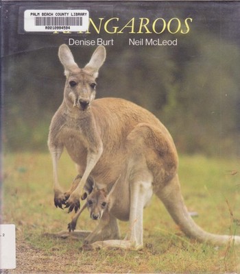 Kangaroos