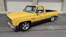 1981 Chevrolet C/K 10 Series C10