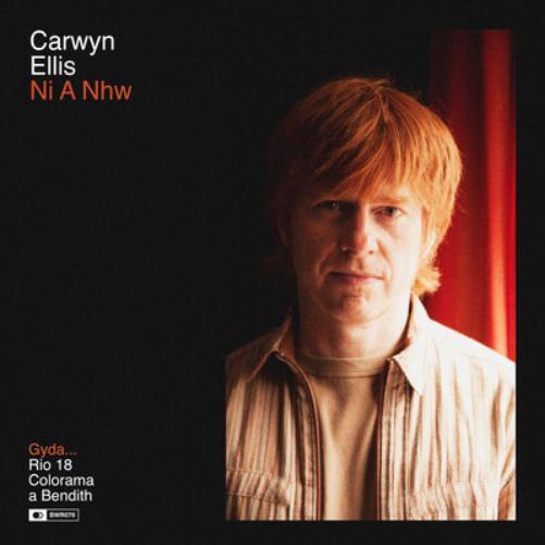 Carwyn Ellis Ni a Nhw (Vinyl LP) 12" Album