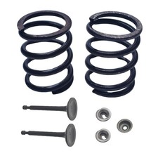 18lb Valve Spring Kit With Retainer And Lock For Predator 212cc For Honda GX2...