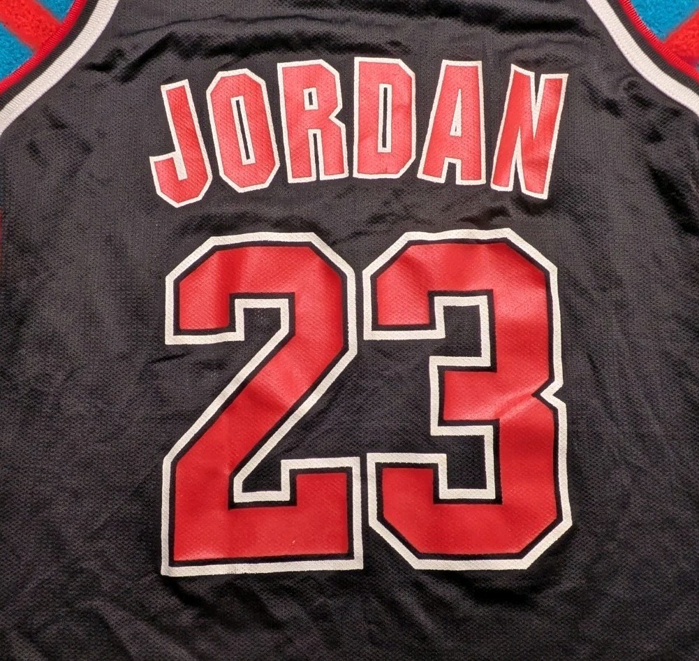 Vintage Michael Jordan Chicago Bulls Champion Jersey #23 Jumpman