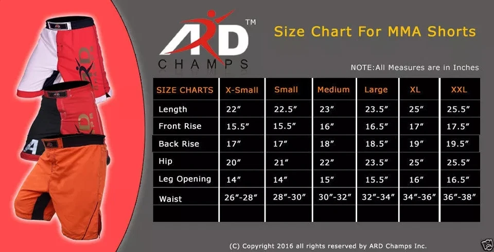 ARD CHAMPS MMA Shorts Men’s Gym, Training, MMA & Muay Thai, Lightweight, Durable - Image 2 of 2