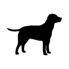 Labrador car window laptop vinyl decal sticker