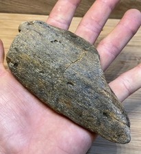 Fossilised Whale bone with natural polished finish 10 million years old #1
