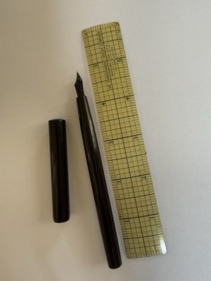 Genuine Parker Lucky Curve Fountain Pen