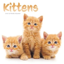 Carousel Calendars,  Kittens 2026 Wall Calendar, 12'' X 12'', 16-Month Calendar