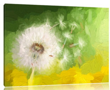 Home Loft Concept Dandelion Graphic Art Print on Canvas NEW FREE NEXT DAY P&P(H)