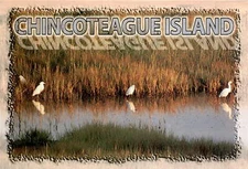 Chincoteague Island, Kevin N. Moore, Marketplace Merchandising, Lewes, Postcard