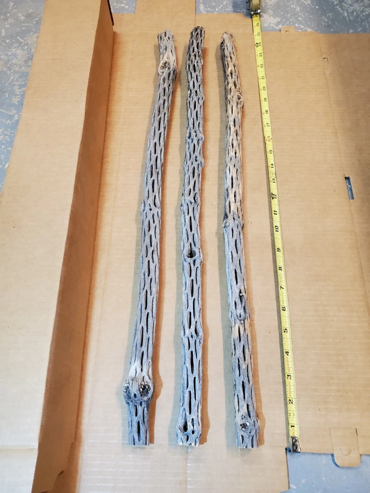 NEW! 3 CHOLLA Wood Pieces 24" inch EXTRA LONG Straight | Organic Aquarium Craft - Image 4 of 4