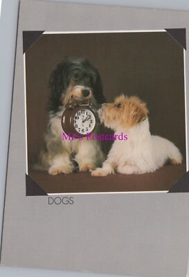 Tiere Postkarte - Haustiere, Hunde, zwei süße Hunde. Halten eines Weckers RR21048