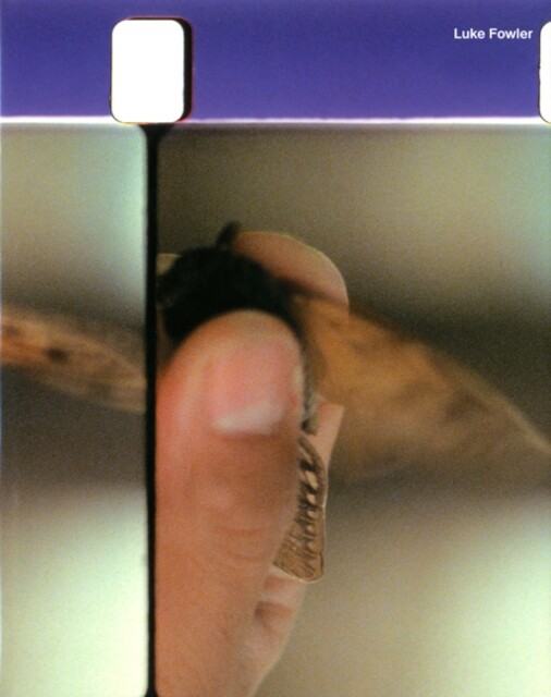 Luke Fowler (Hardback Book)