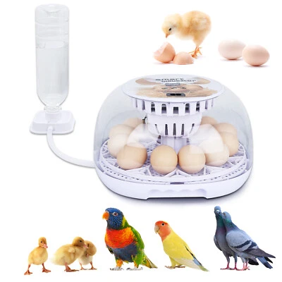 NORJIN 12 Digital Egg Incubator Automatic Egg Turning ＆Water Adding for Hatching Egg US