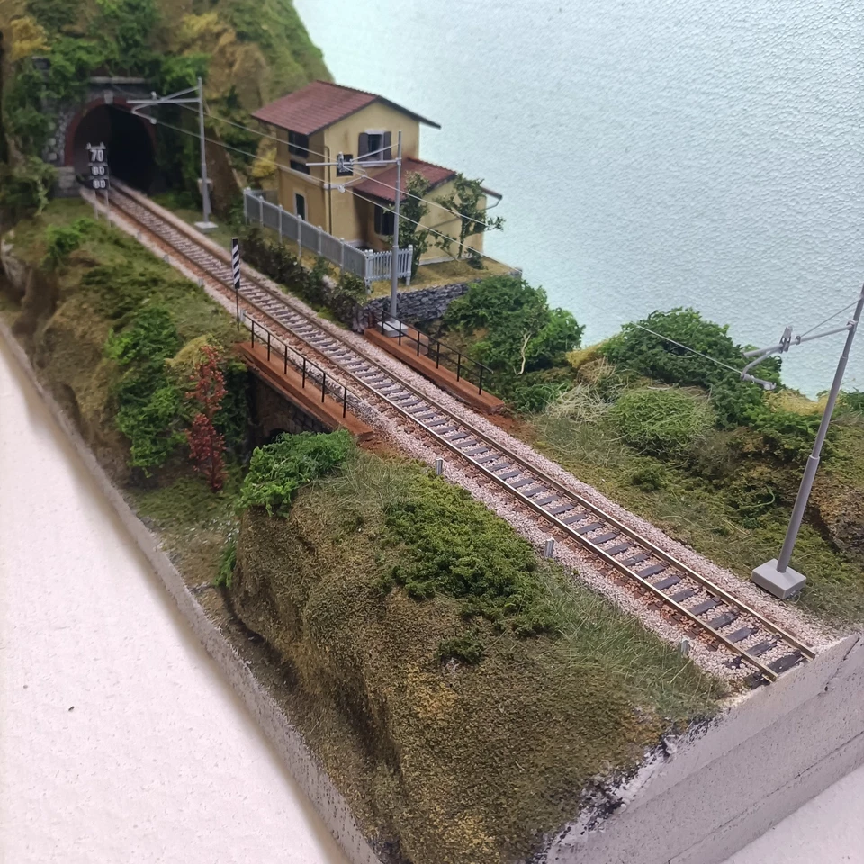 diorama ferroviario FS Pd04-s - Image 2 of 4