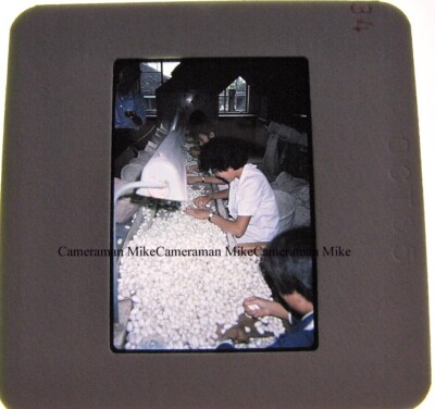 Vintage 1985 Slide Film Travel Photographs China Silk Factory Sorting Cocoons
