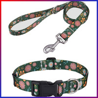 Hundehalsband Und Leine Set Verstellbar Nylon Komfort FüR Kleine Bis GroßE Hunde