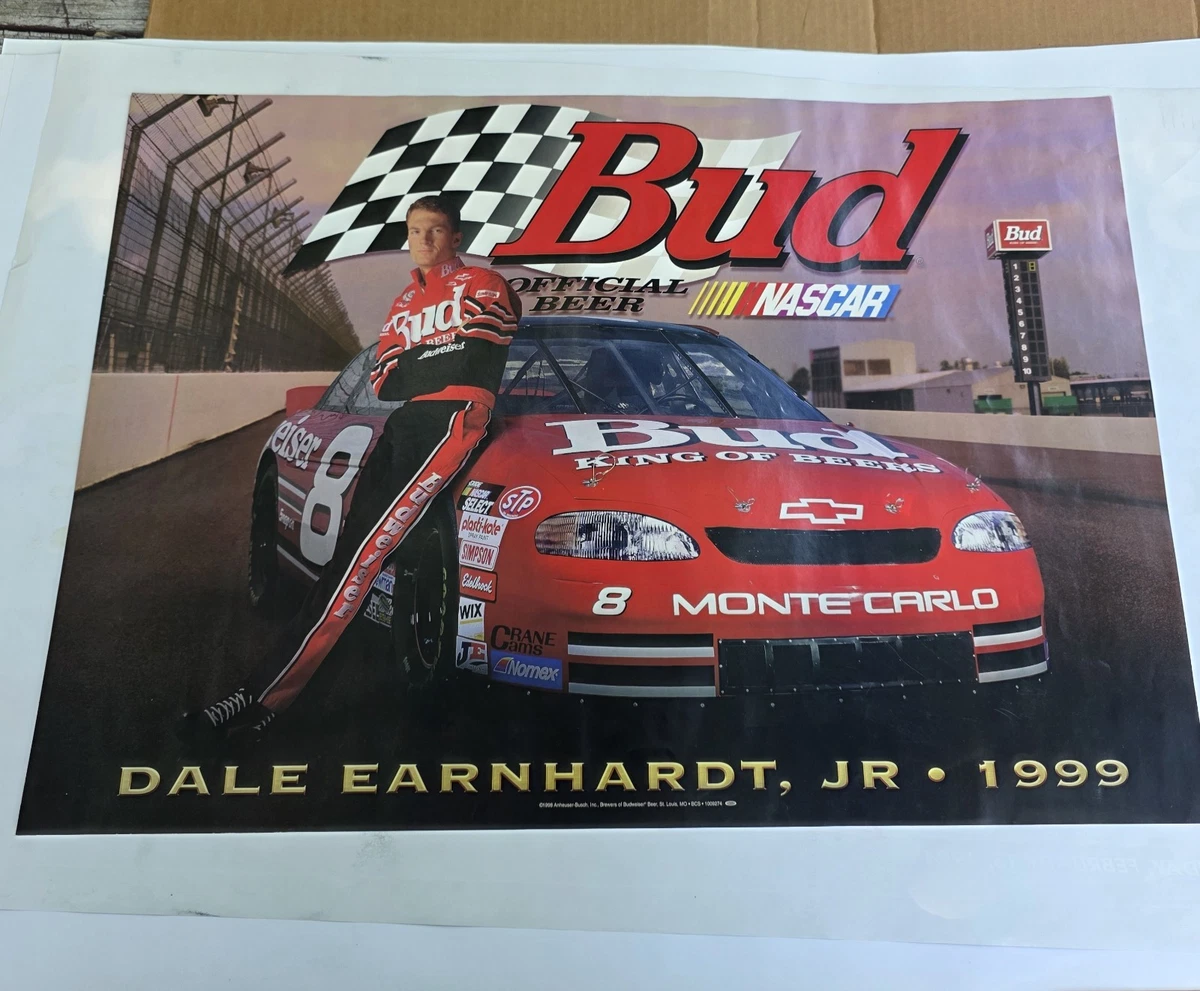 Dale Earnhardt Jr. NASCAR Original Autographed Lithographs