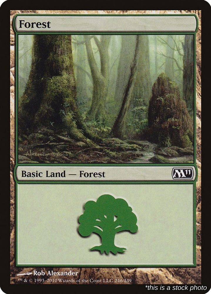 Forest Land 246 M11 Magic 2011 (M11) Near Mint NM Magic
