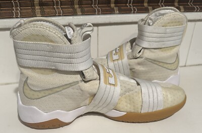 lrj sfg lebron shoes