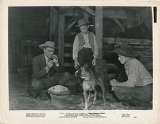 Rare The Tender Years Photo Lobby Card B&W Film History B&W with Richard Lyon