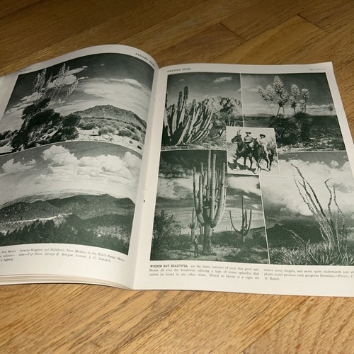 1945 AROUND HERE, THE SOUTHWEST IN PICTURE AND STORY - El Paso / New Mexico - Foto 13 di 24