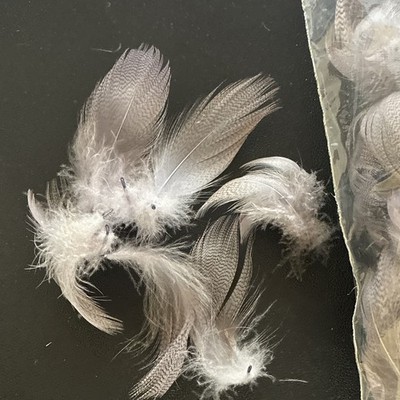 Med Dunn dyed mallard flank Mixed Feathers Bulk lot 