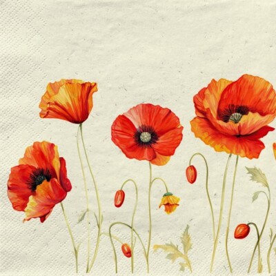 20 Servietten nachhaltig Gras Poppies on Grass Mohnblumen Zart rot Deko 33x33cm