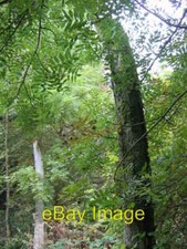 Photo 6x4 Whale Bone Arc Welton Vale Welton le Wold The whale bone arc is c2007
