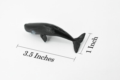Sperm Whale, Rubber Animal, Realistic Toy Model, Hand Painted, 3.5
