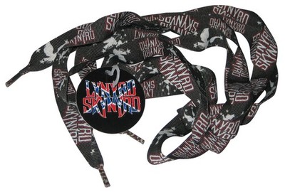 Lynyrd Skynyrd CD Visionary Lizensiert (2004) Musik Schwarz Bunte Schnürsenkel