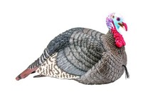 HUNTERS SPECIALTIES HS Strut Lite Jake Turkey Decoy Foldable Realistic