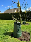 Baumbewässerungssack 77 Liter – Robustes PVC