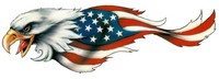 Aufkleber Adler USA Links XL 41 X 13 Cm Airbrush Eagle Left Sticker Decal Tank