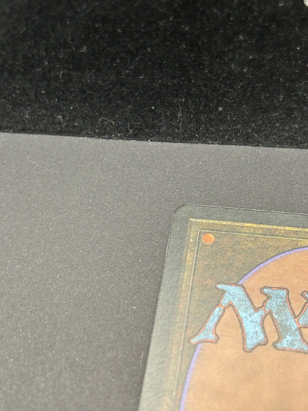 Picture 16 of 16