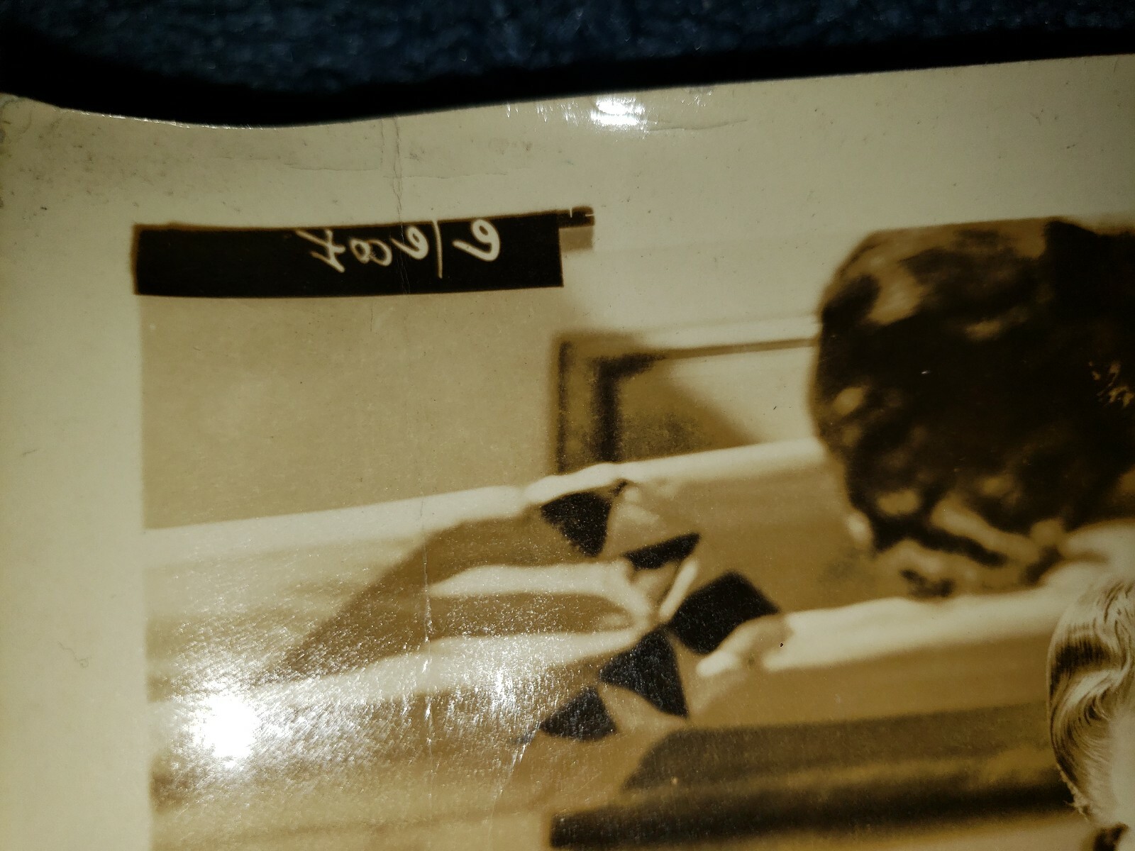 Picture 5 of 5