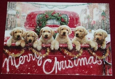 16 New in Box Christmas Cards 6 Puppies in old Red Pick Up Truck Decorated envel