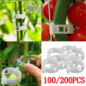 200Pcs Tomato and Veggie Garden Plant Support Clips Trellis Twine Greenhouse