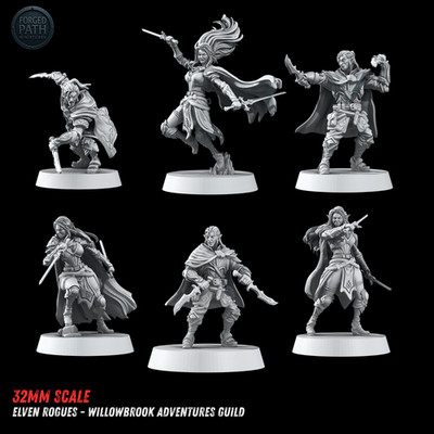 Dungeons & Dragons Spielbare Figur - Weibliche männliche Elfe - Schurke