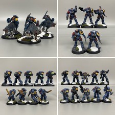 Spazio Lupi Lupo Esercito Warhammer 40K Dipinto Thunderwolf Primaris Primogenito