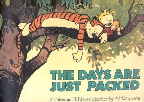 The Days Are Just Packed: A Calvin and Hobbes Collection - Paperback - GOOD