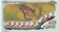 Monarch Butterfly 2020 Topps Chrome Allen & Ginter Buggin' Out Mini Card #MBOC-2