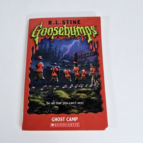 1st Scholastic Print Vintage Goosebumps 1996 #45 Ghost Camp, R.L. Stine - Picture 1 of 7